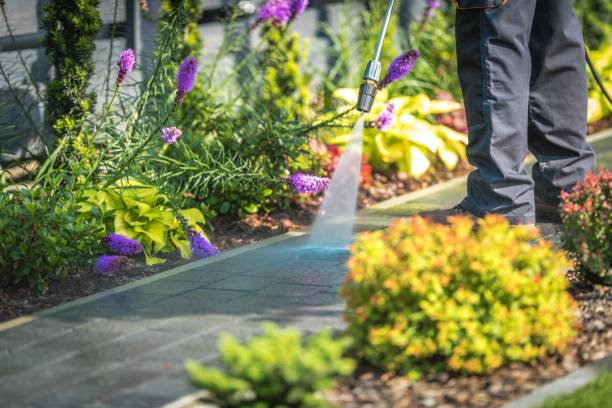 Best Patio and Deck Pressure Washing  in Key Center, WA
